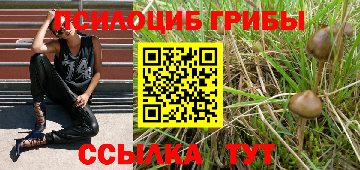 Коряжма  Галлюциногенные грибы MAGIC MUSHROOMS  Вход с VPN  Псилоцибиновые грибы GOLDEN TEACHER 