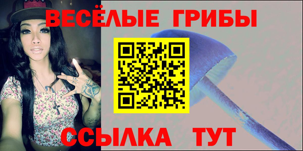 Галлюциногенные грибы мухоморы Коряжма